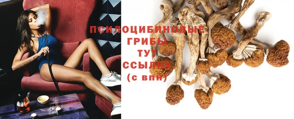 синтетический гашиш Ладушкин