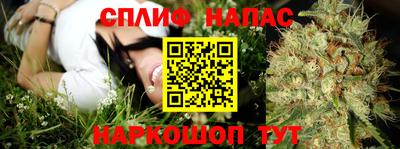 таблы Будённовск