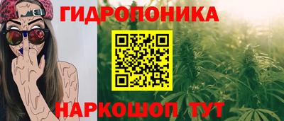 шишки Волжск