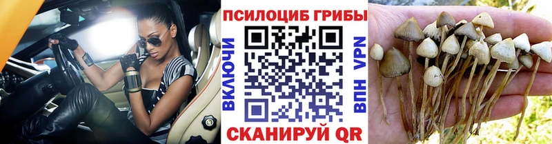 Галлюциногенные грибы GOLDEN TEACHER  где купить наркоту  МЕГА зеркало  Каспийск 