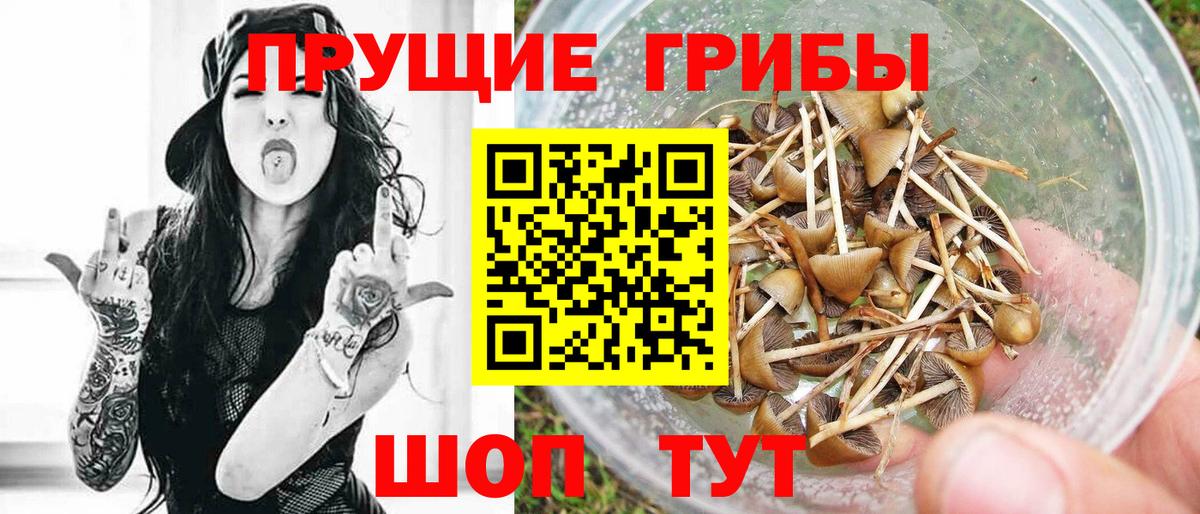 МЕФ Каспийск