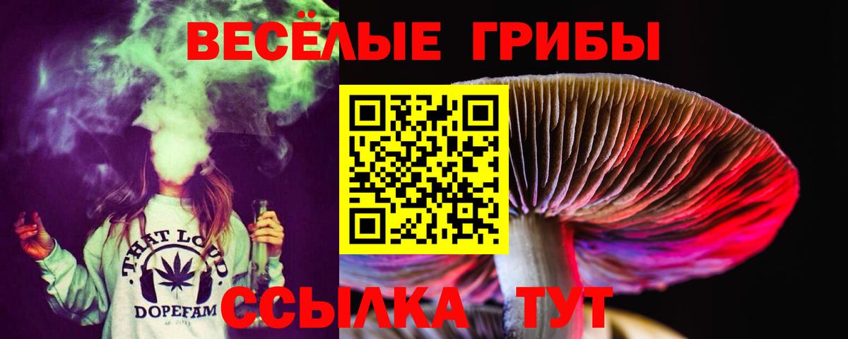 Каспийск  Галлюциногенные грибы мухоморы  цена наркотик  Вход с VPN 